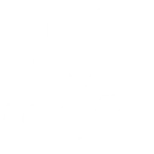 Logo Lobão Auto Peças